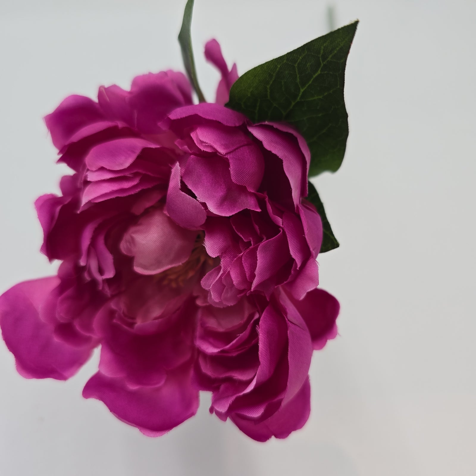 18.5" Peony-#fsp801-oc