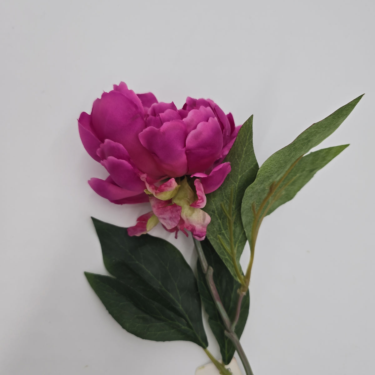 18.5&quot; Peony-#fsp801-oc