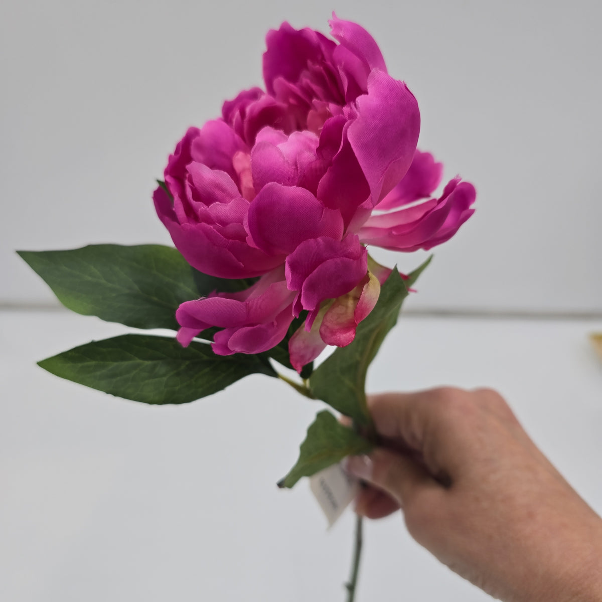 18.5&quot; Peony-#fsp801-oc