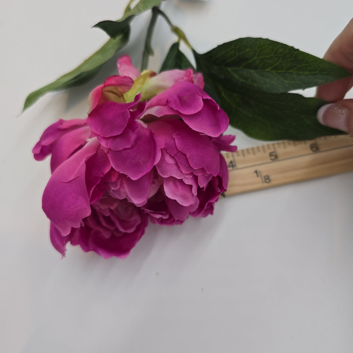 18.5&quot; Peony-#fsp801-oc