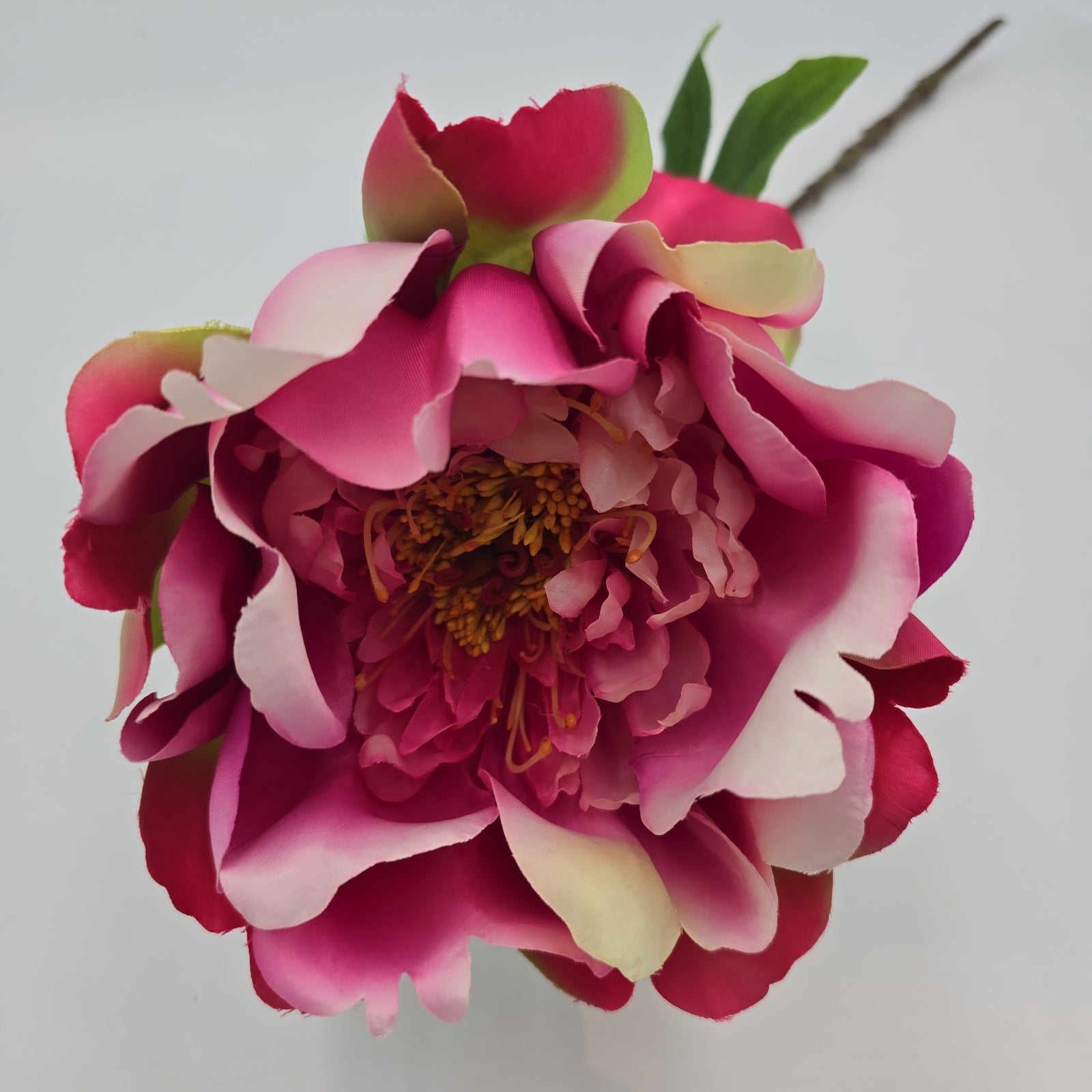 23.5" Peony-fsp929-#ce/pk