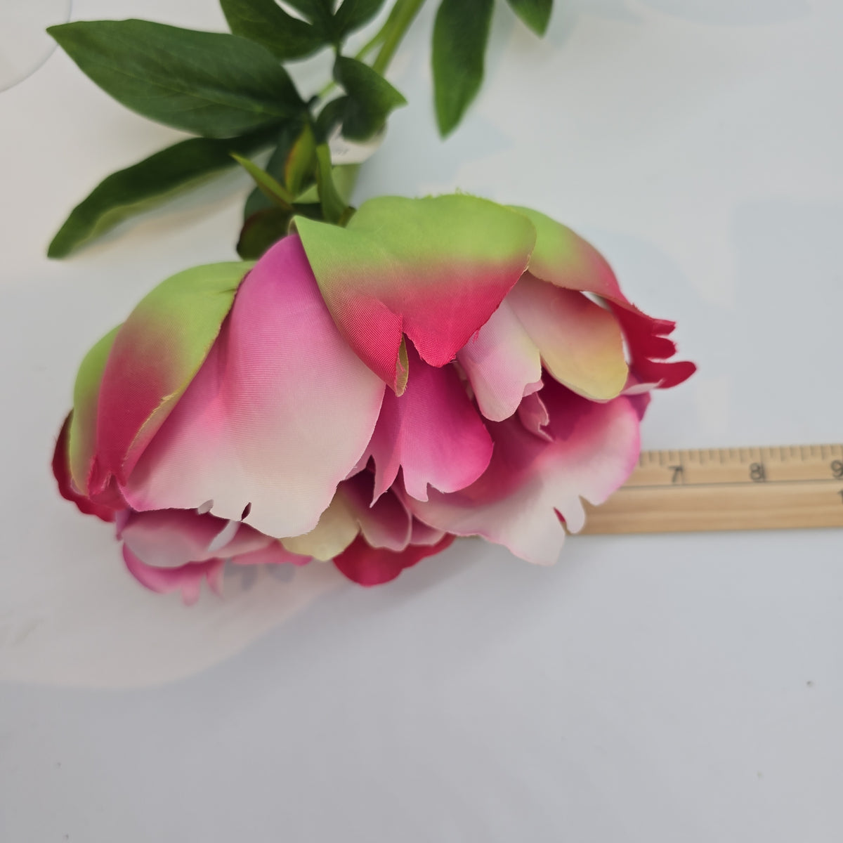 23.5&quot; Peony-fsp929-#ce/pk