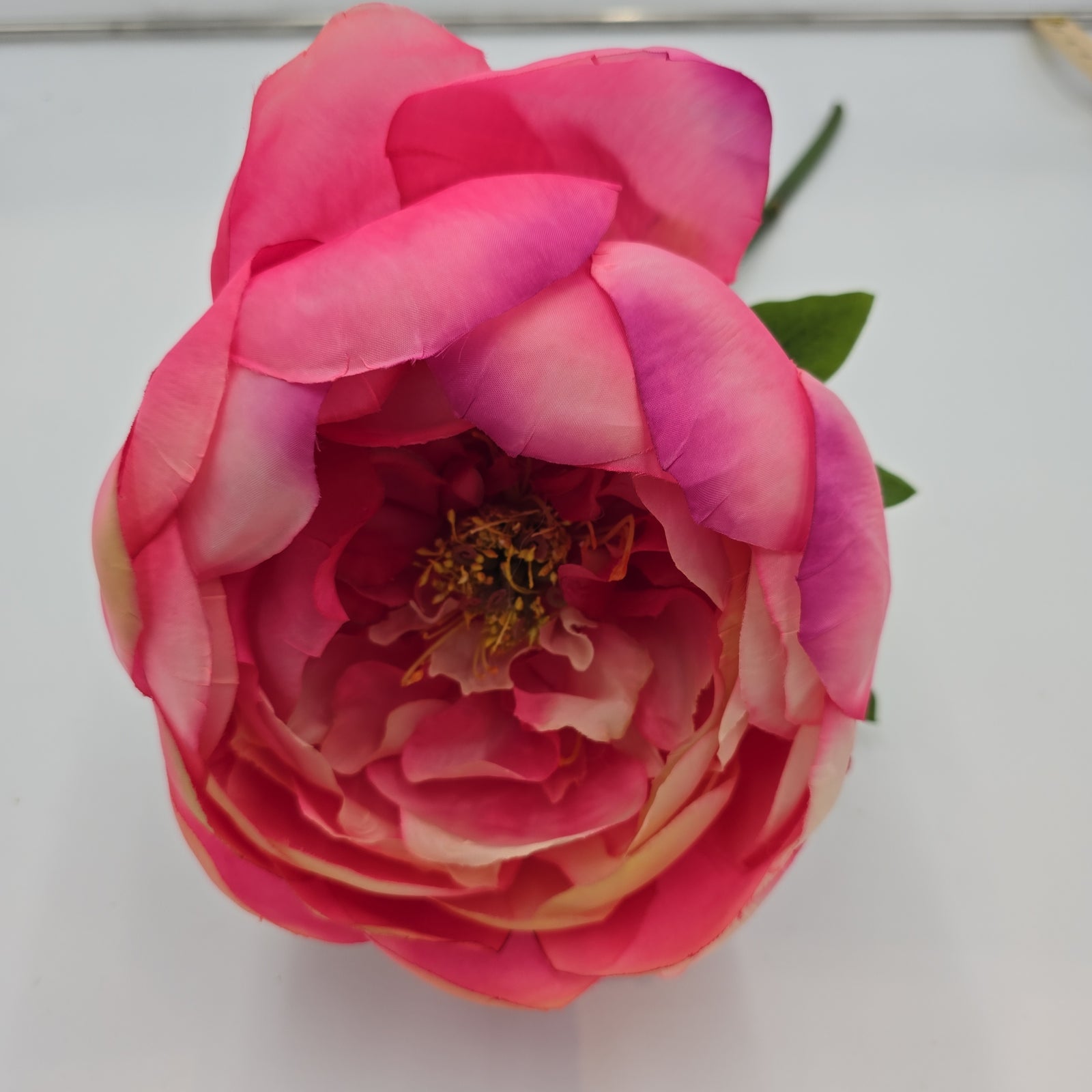 27" Giant Peony-hsp235-ce/fu