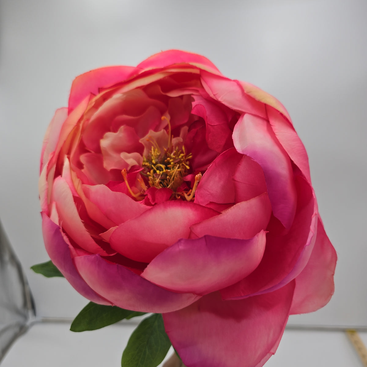 27&quot; Giant Peony-hsp235-ce/fu