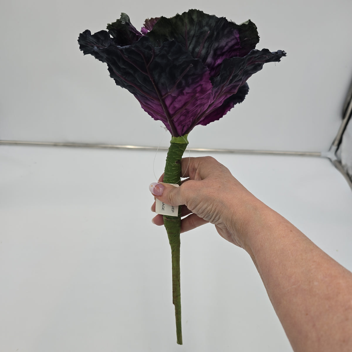 14&quot; Cabbage Spray--#vsc031