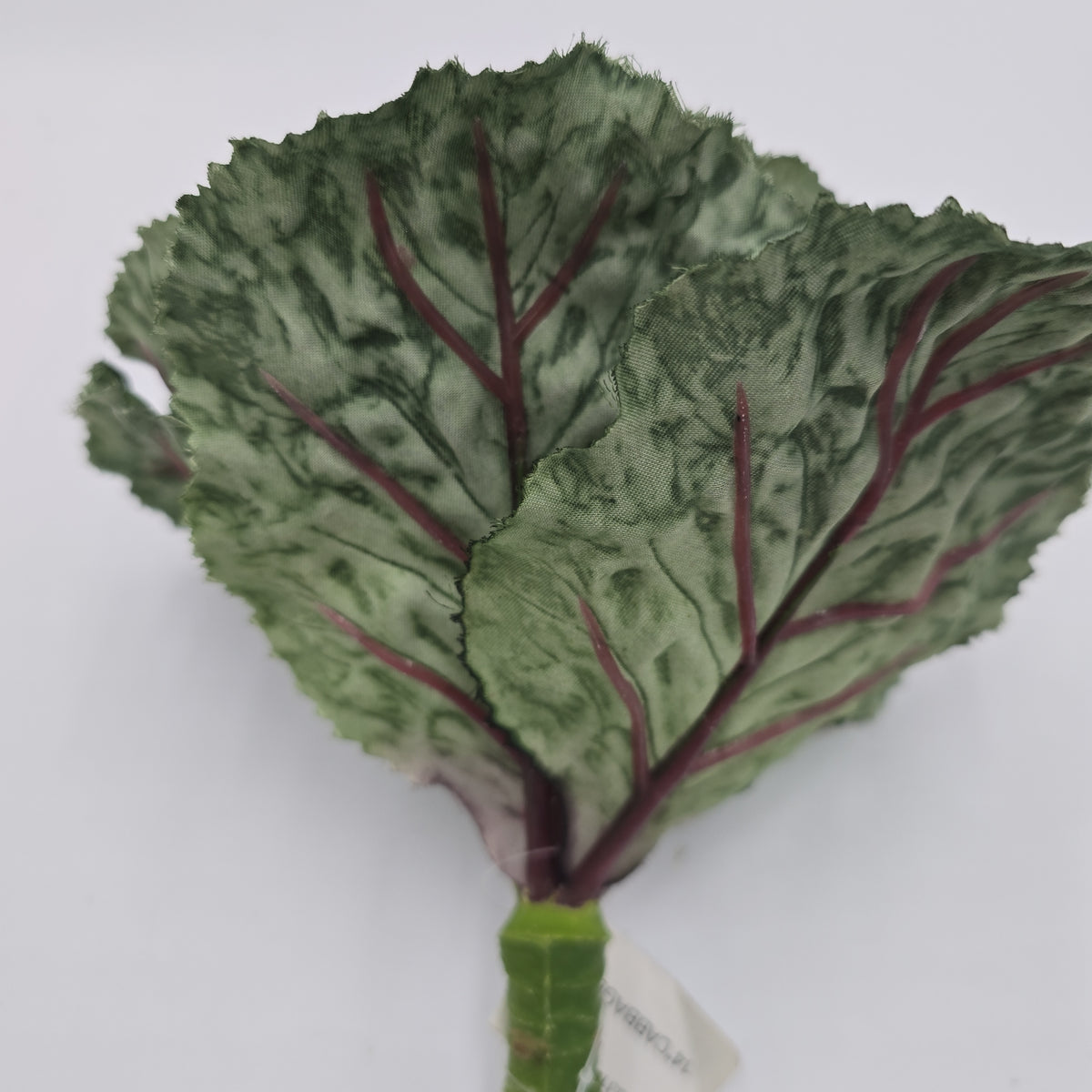 14&quot; Cabbage Spray--#vsc031