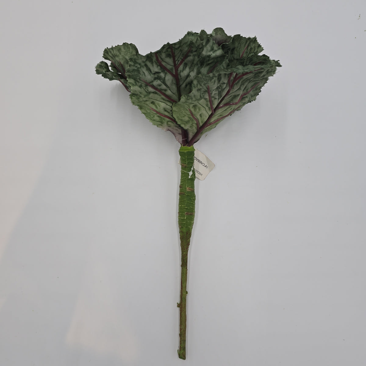 14&quot; Cabbage Spray--#vsc031