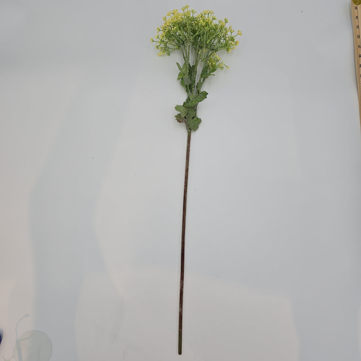 29&quot;VIBURNUM Bud--fsv001