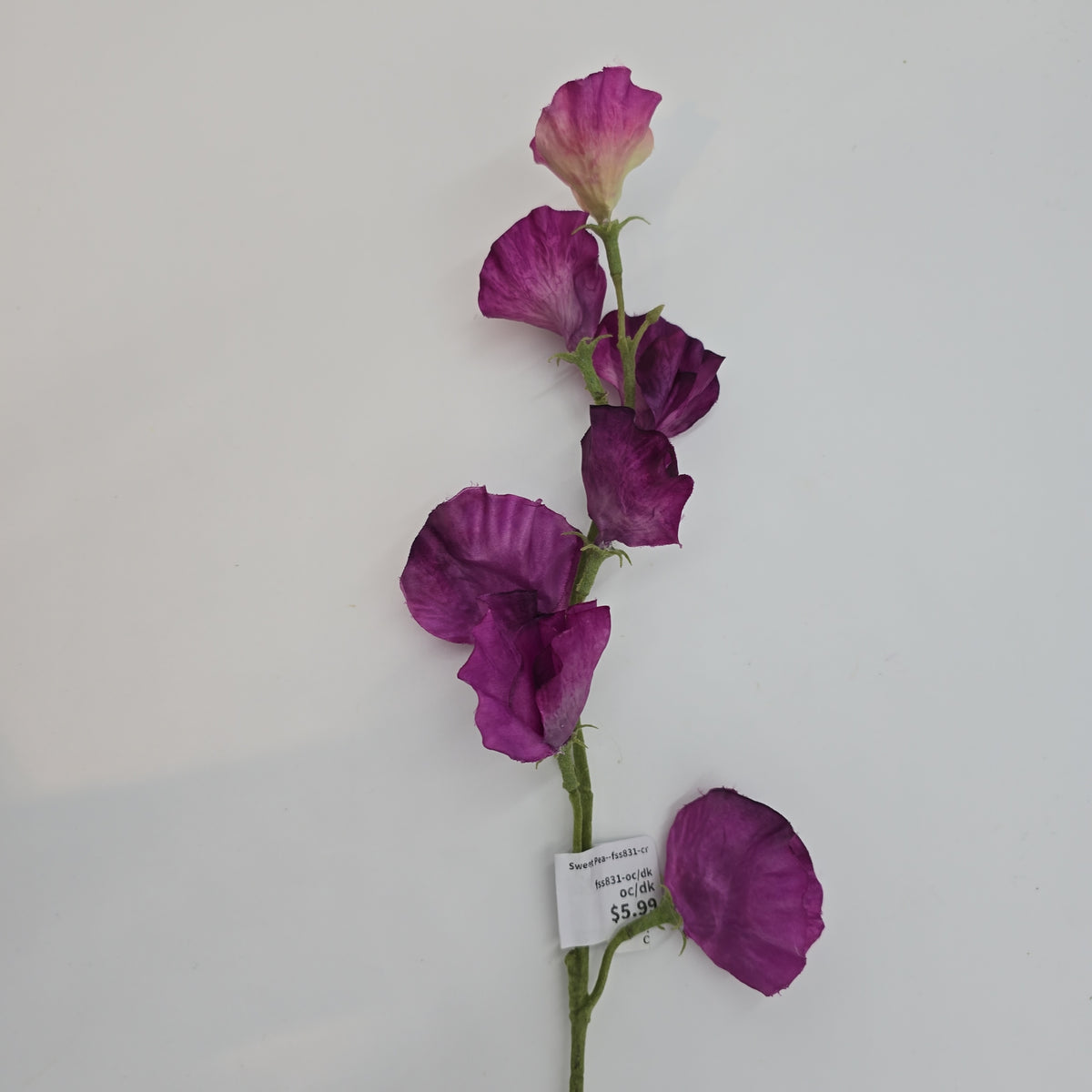 Sweet Pea--fss831
