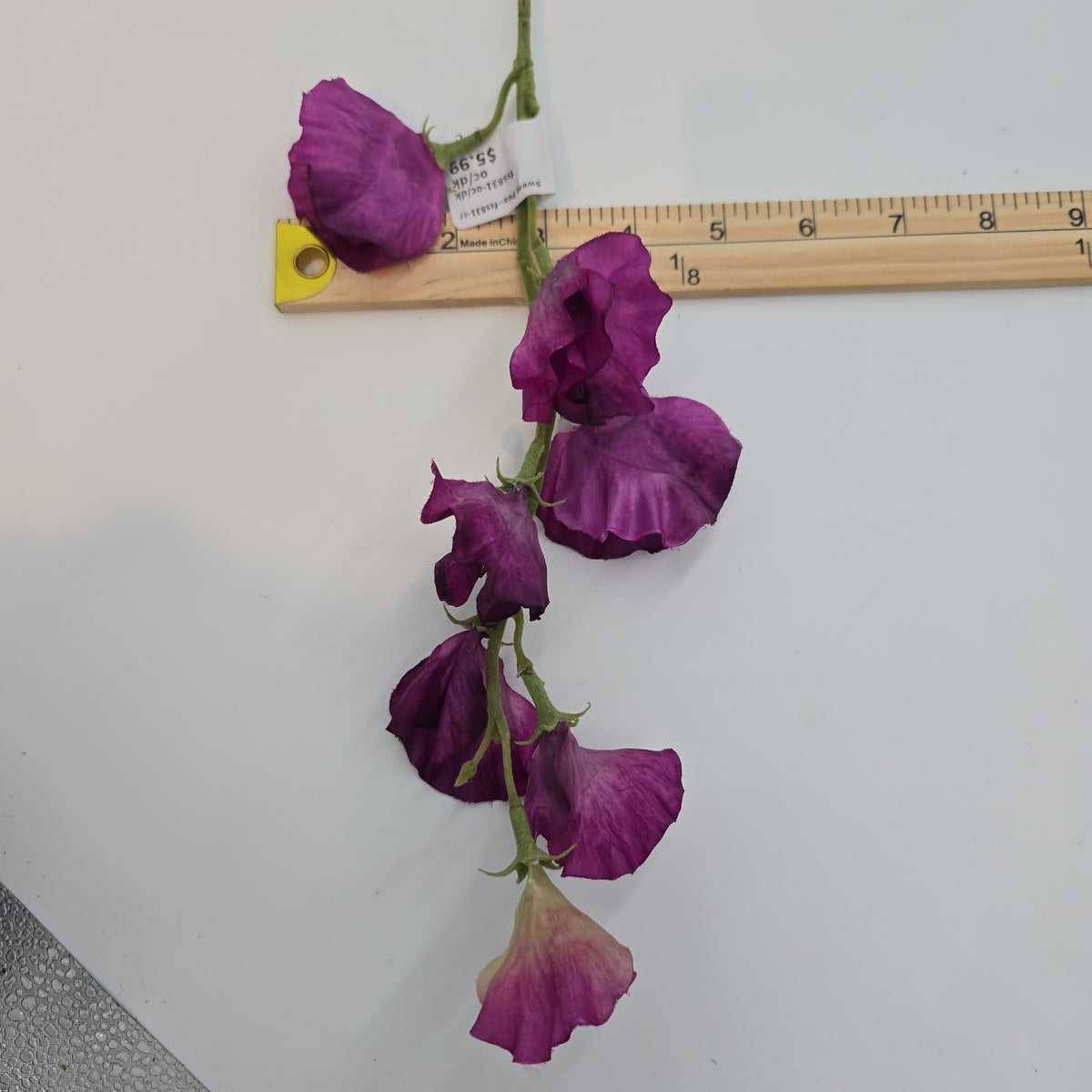 Sweet Pea--fss831
