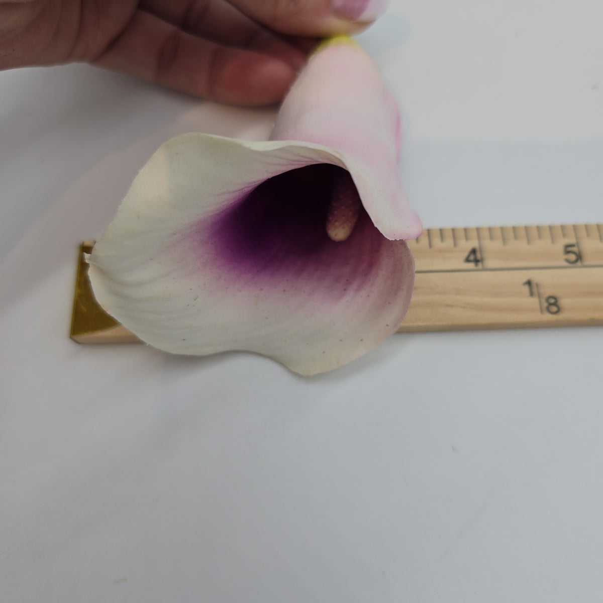 24&quot; Calla Lily--#gtl221-cr/pu