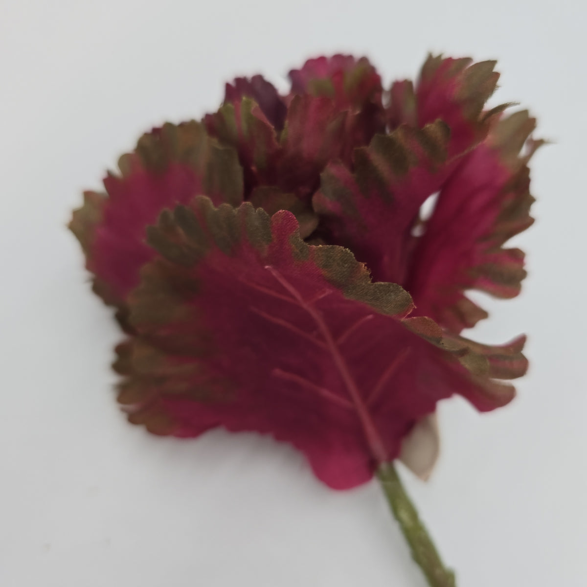 14&quot; Cabbage Spray--#vsc901