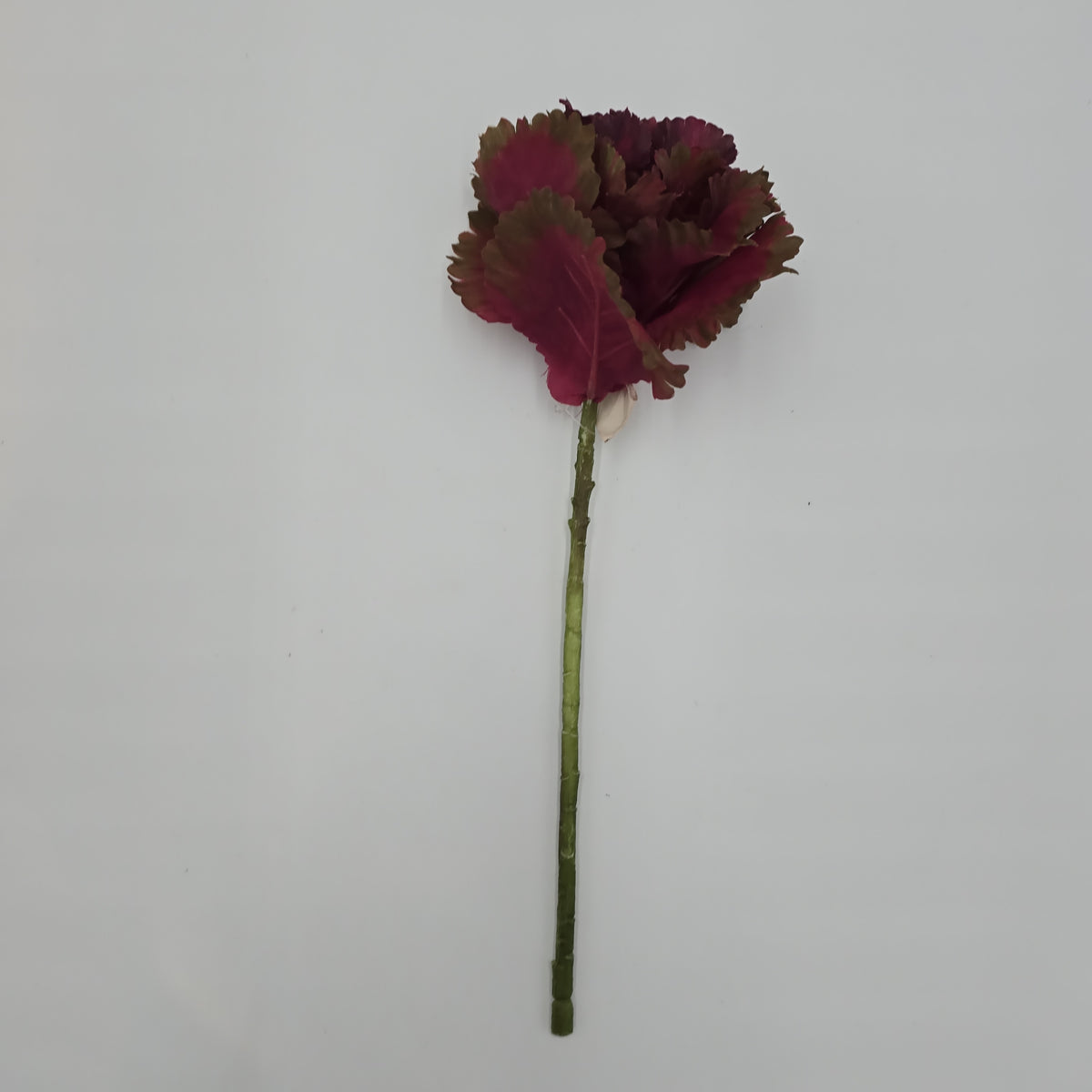 14&quot; Cabbage Spray--#vsc901