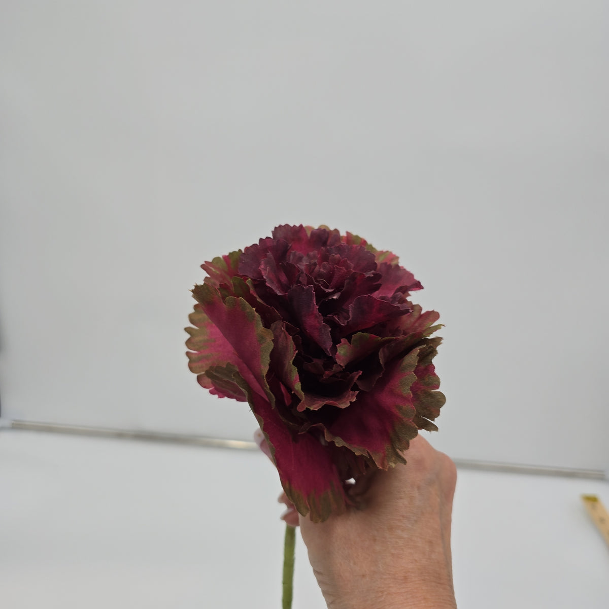 14&quot; Cabbage Spray--#vsc901