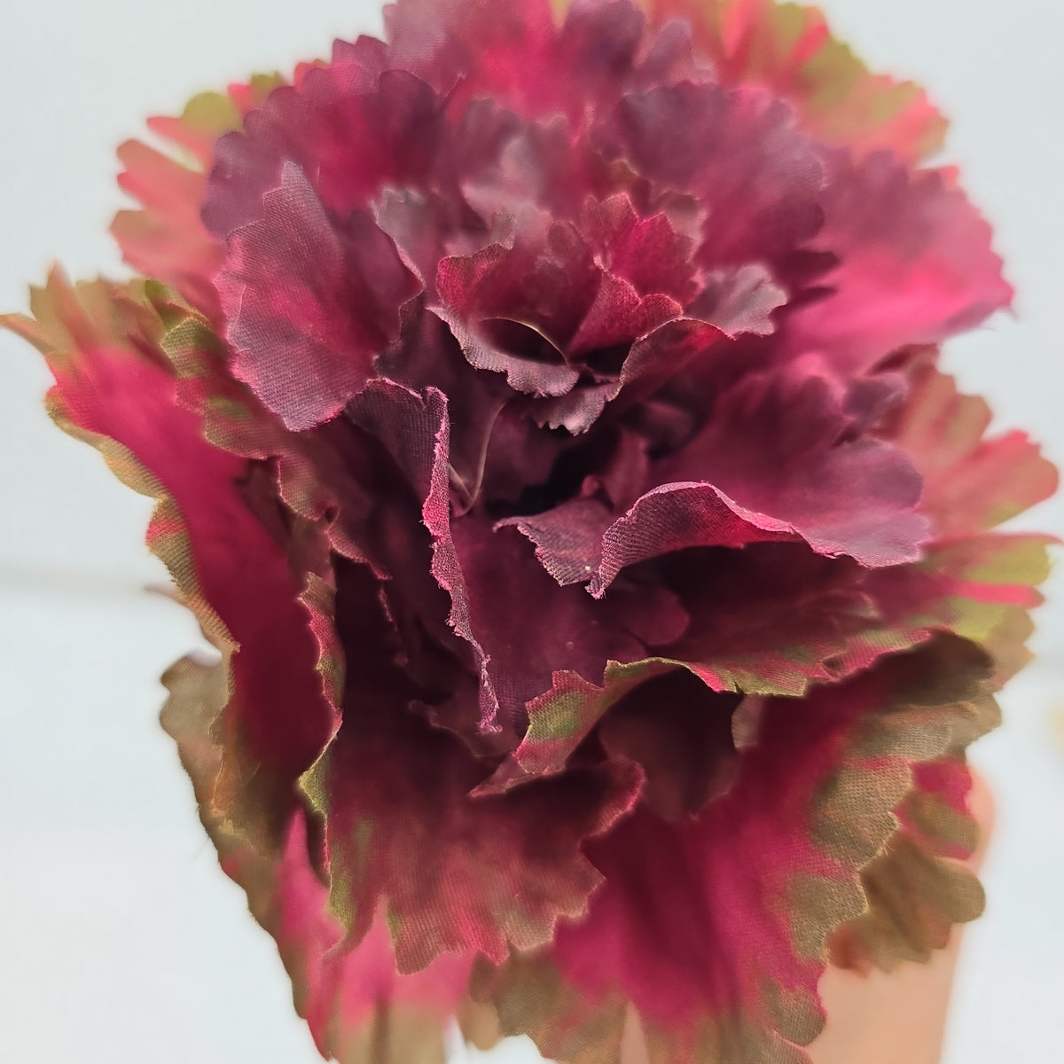 14&quot; Cabbage Spray--#vsc901