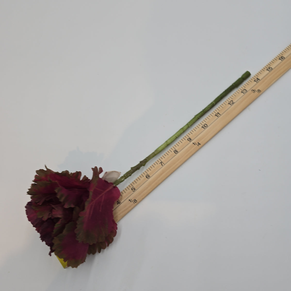 14&quot; Cabbage Spray--#vsc901