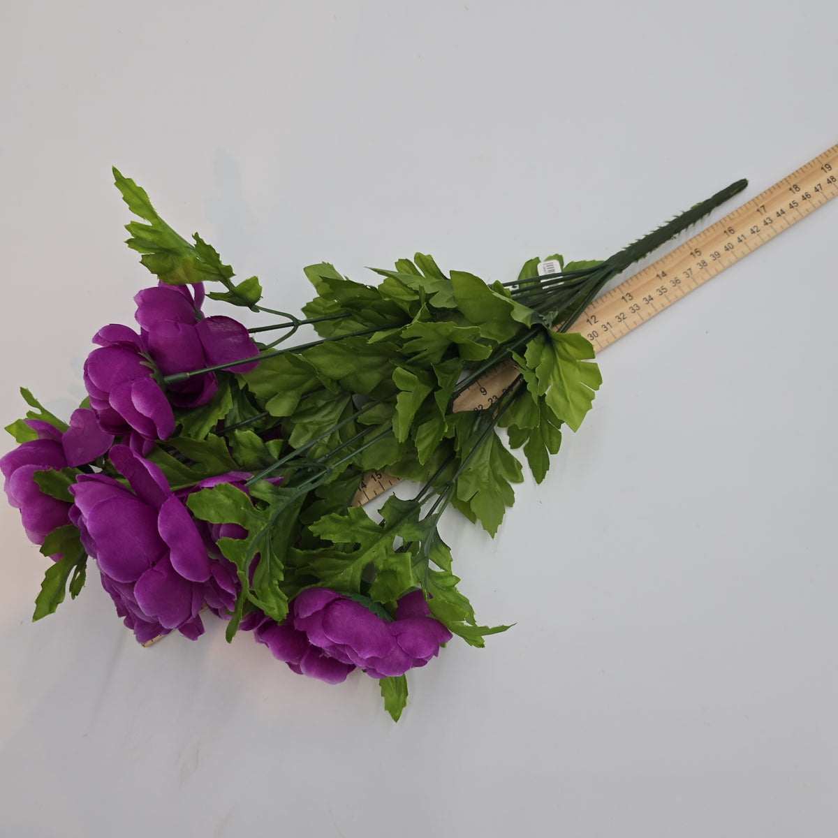 Ranunculus Bush--fbr816