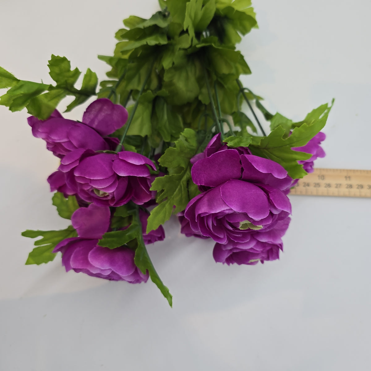 Ranunculus Bush--fbr816