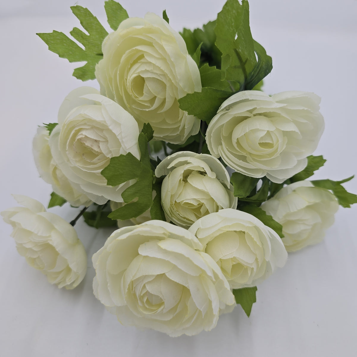 Ranunculus Bush--fbr816