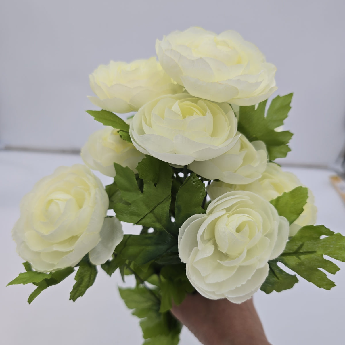 Ranunculus Bush--fbr816