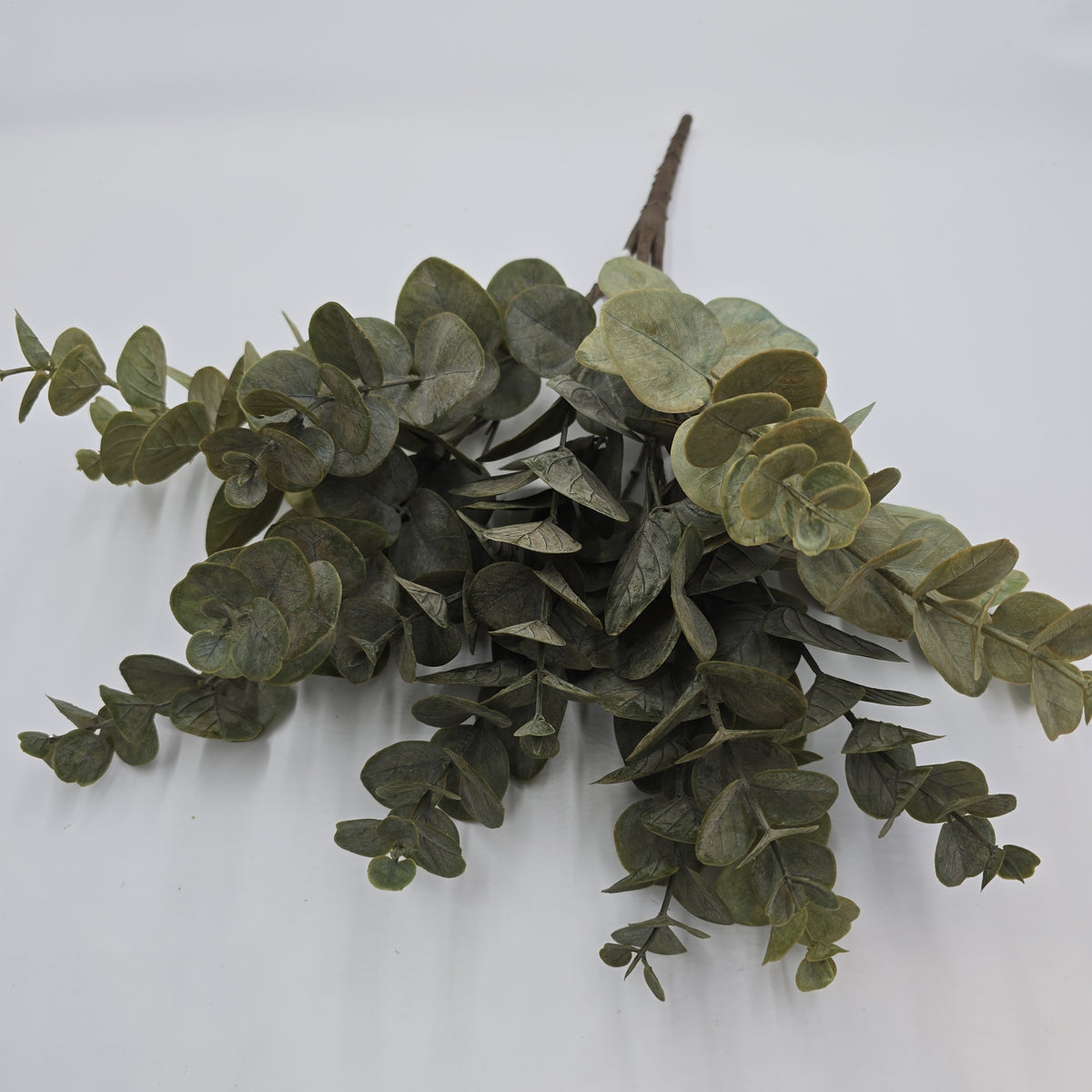 19&quot; Eucalyptus Bush--#pbf351