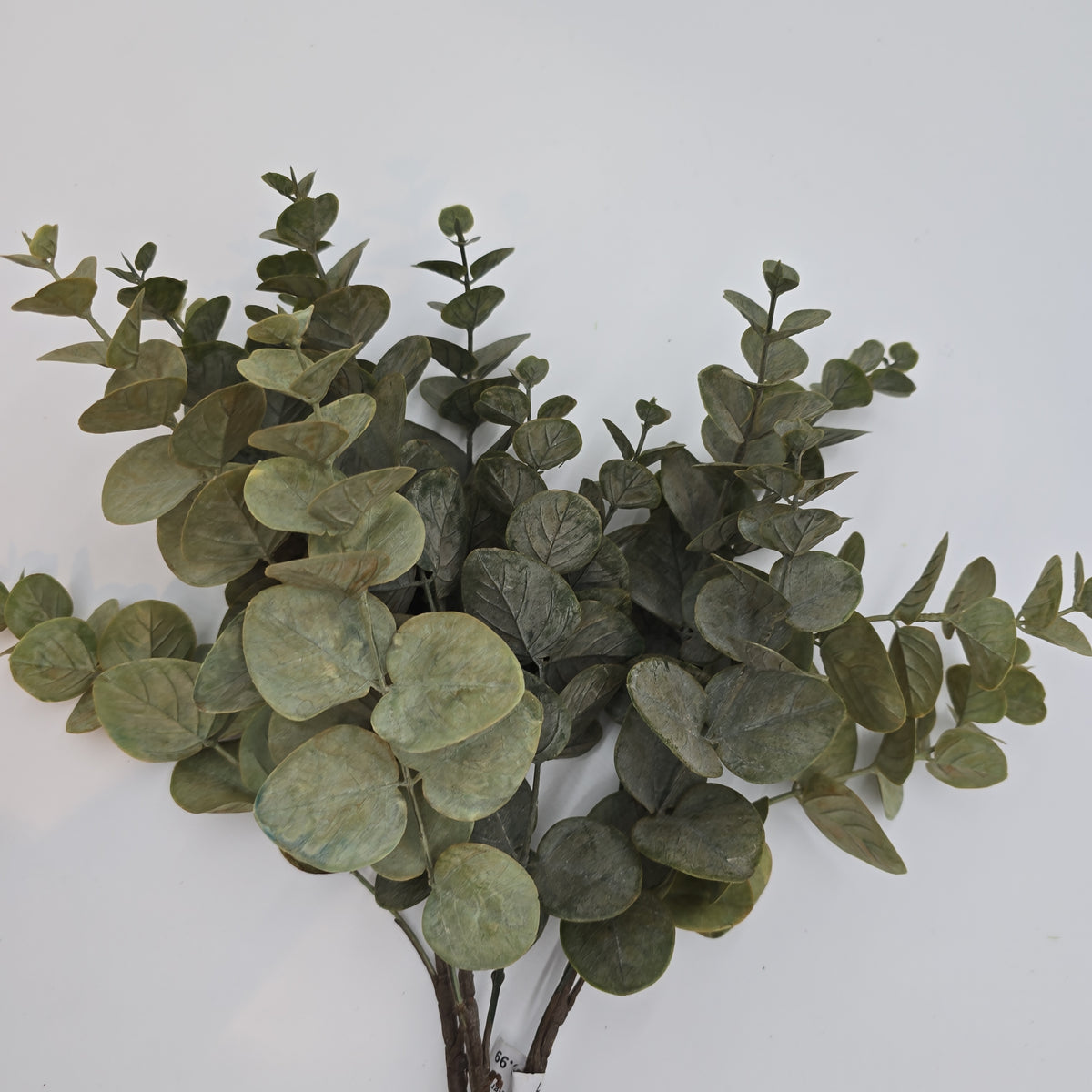 19&quot; Eucalyptus Bush--#pbf351