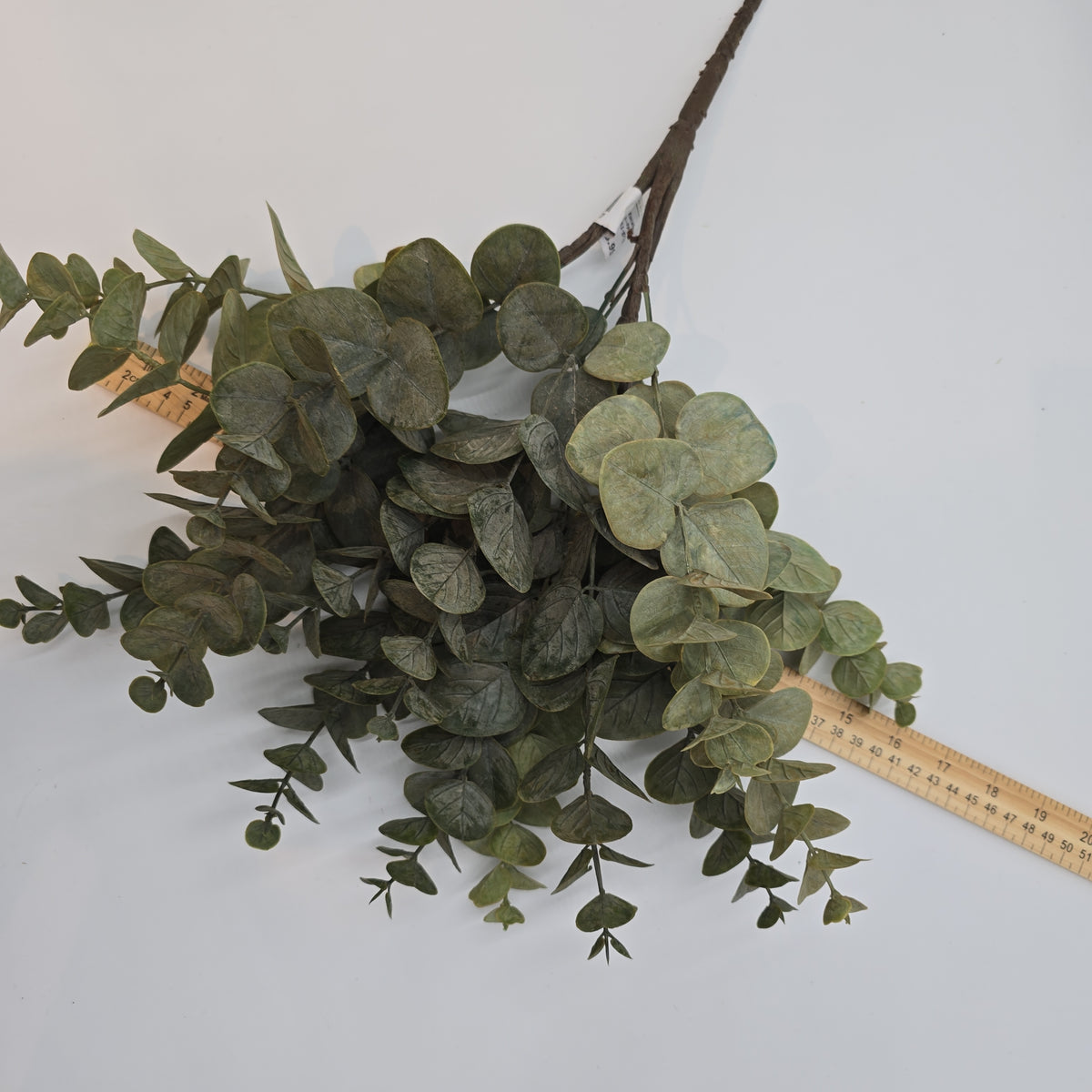 19&quot; Eucalyptus Bush--#pbf351