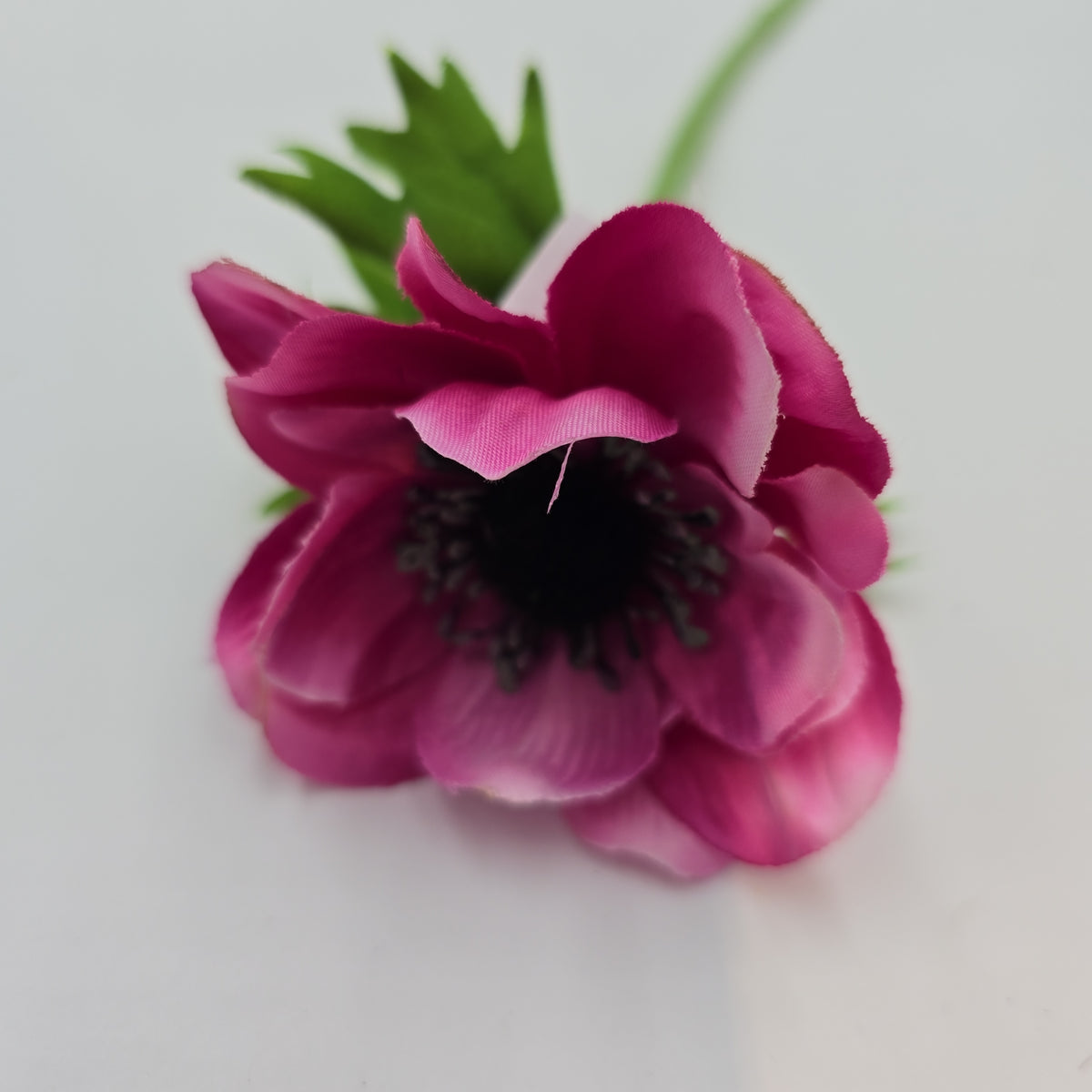 16.5&quot;ANEMONE--fsa048