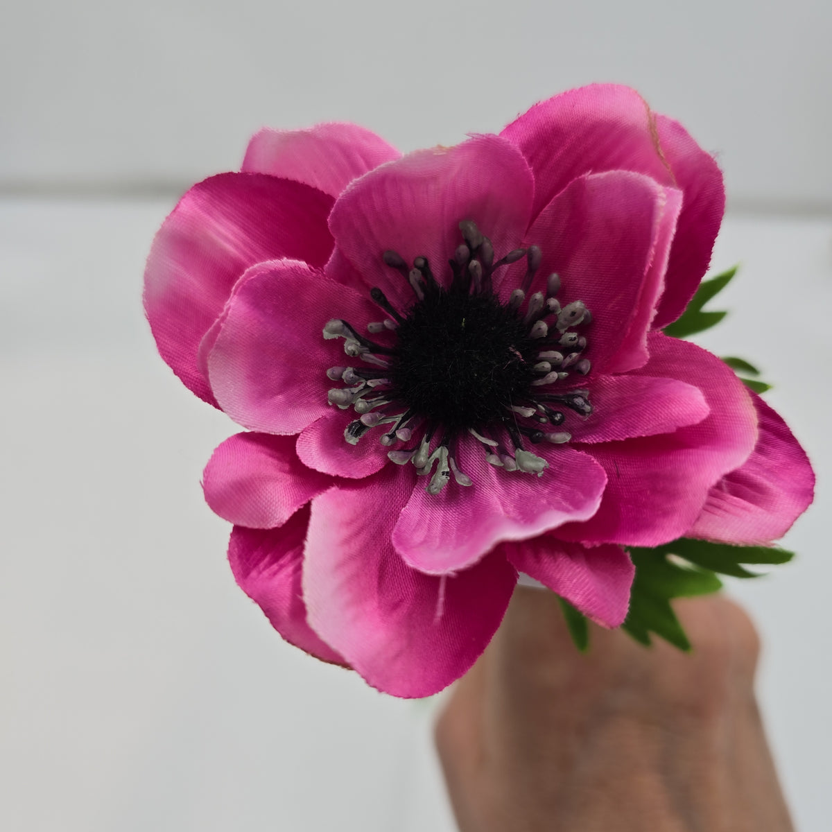 16.5&quot;ANEMONE--fsa048