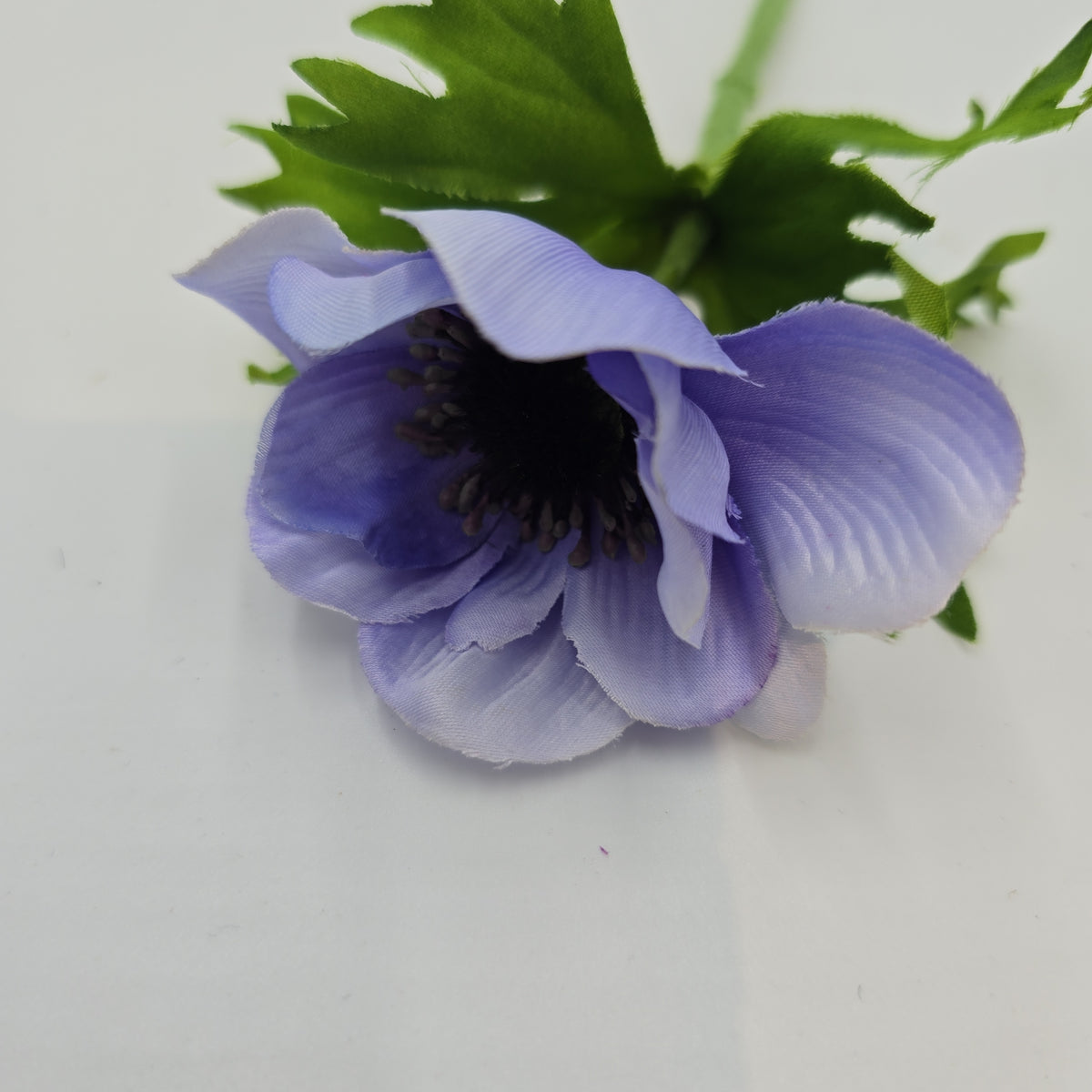 16.5&quot;ANEMONE--fsa048