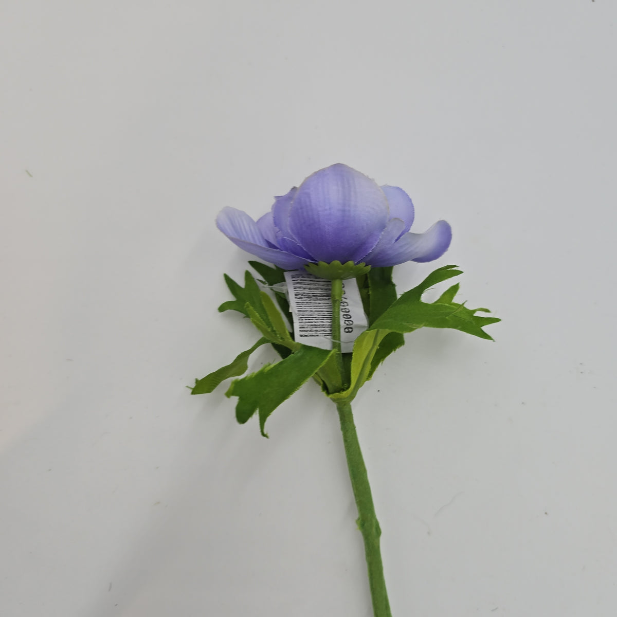 16.5&quot;ANEMONE--fsa048