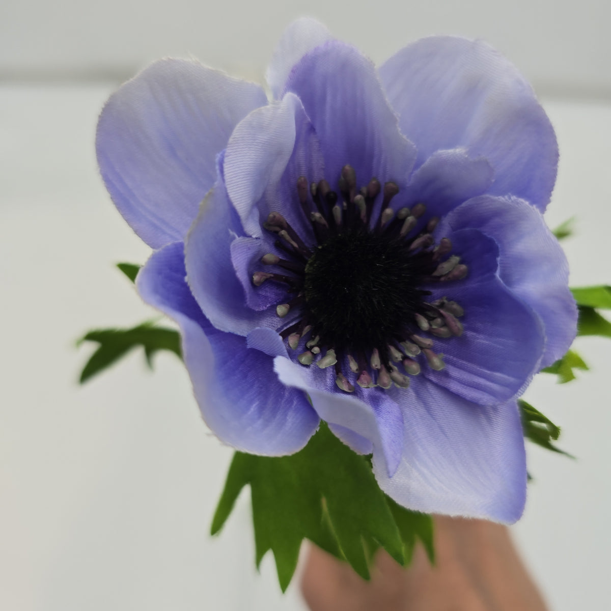 16.5&quot;ANEMONE--fsa048