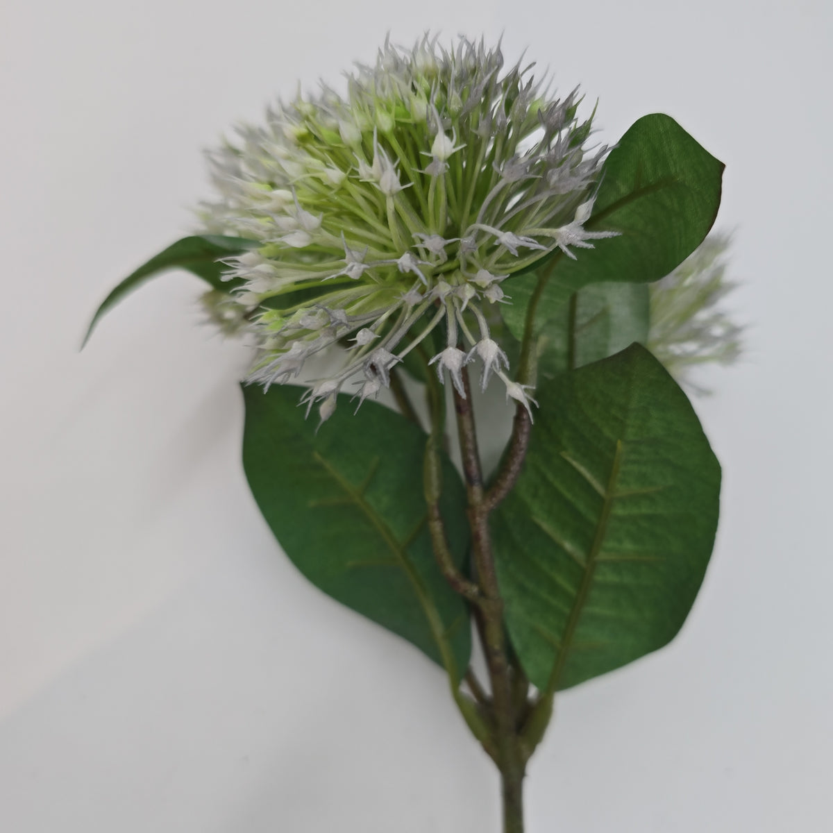 15&quot;CHI.SWEET GUM Blossom--fsa663-bl