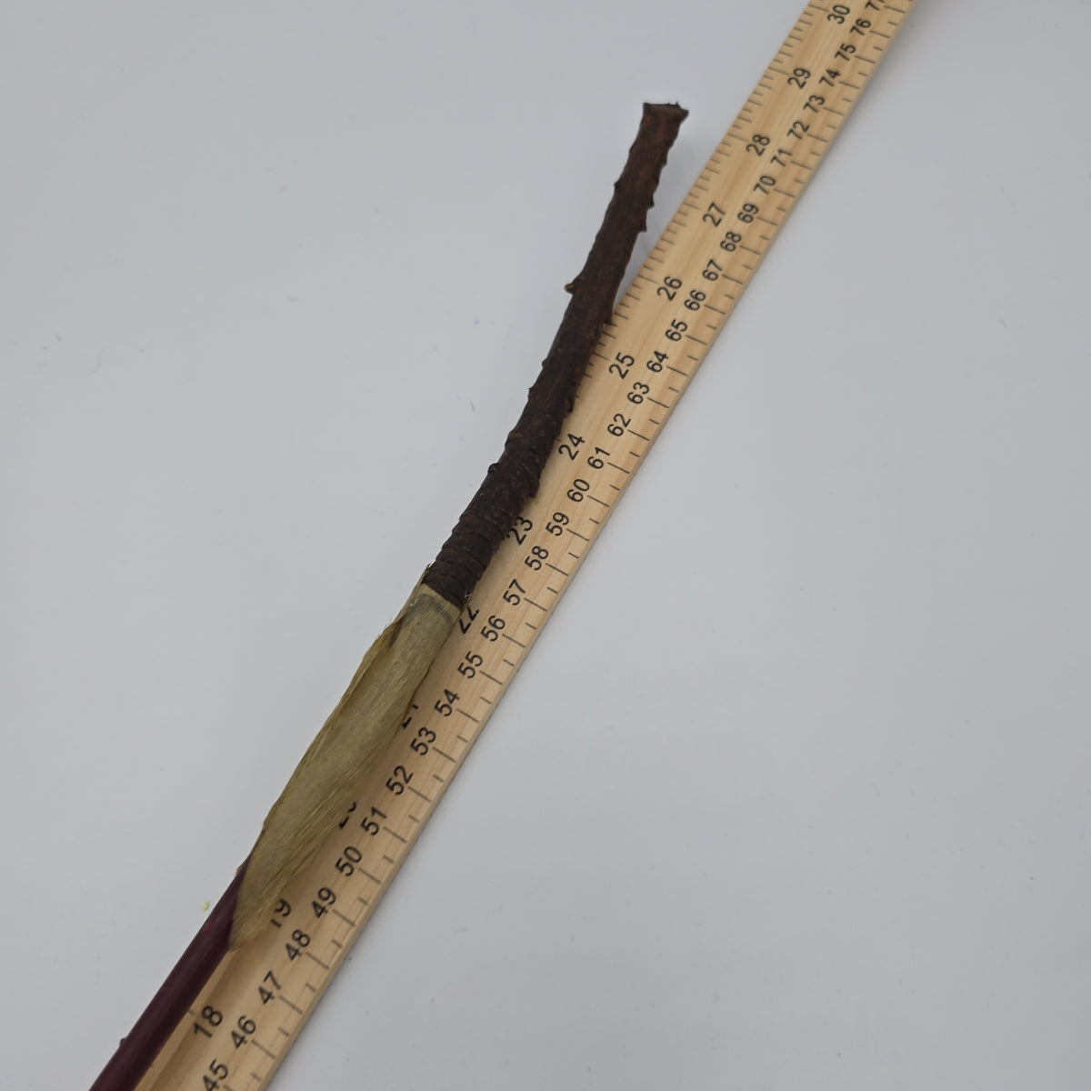 28&quot;AGAVE--fsa175