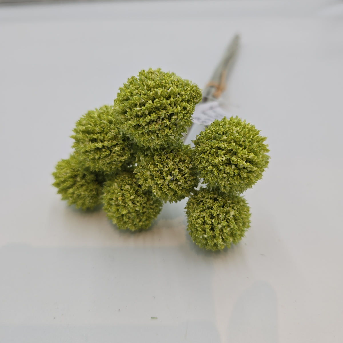 13&quot;BILLY BUTTON--FBL428