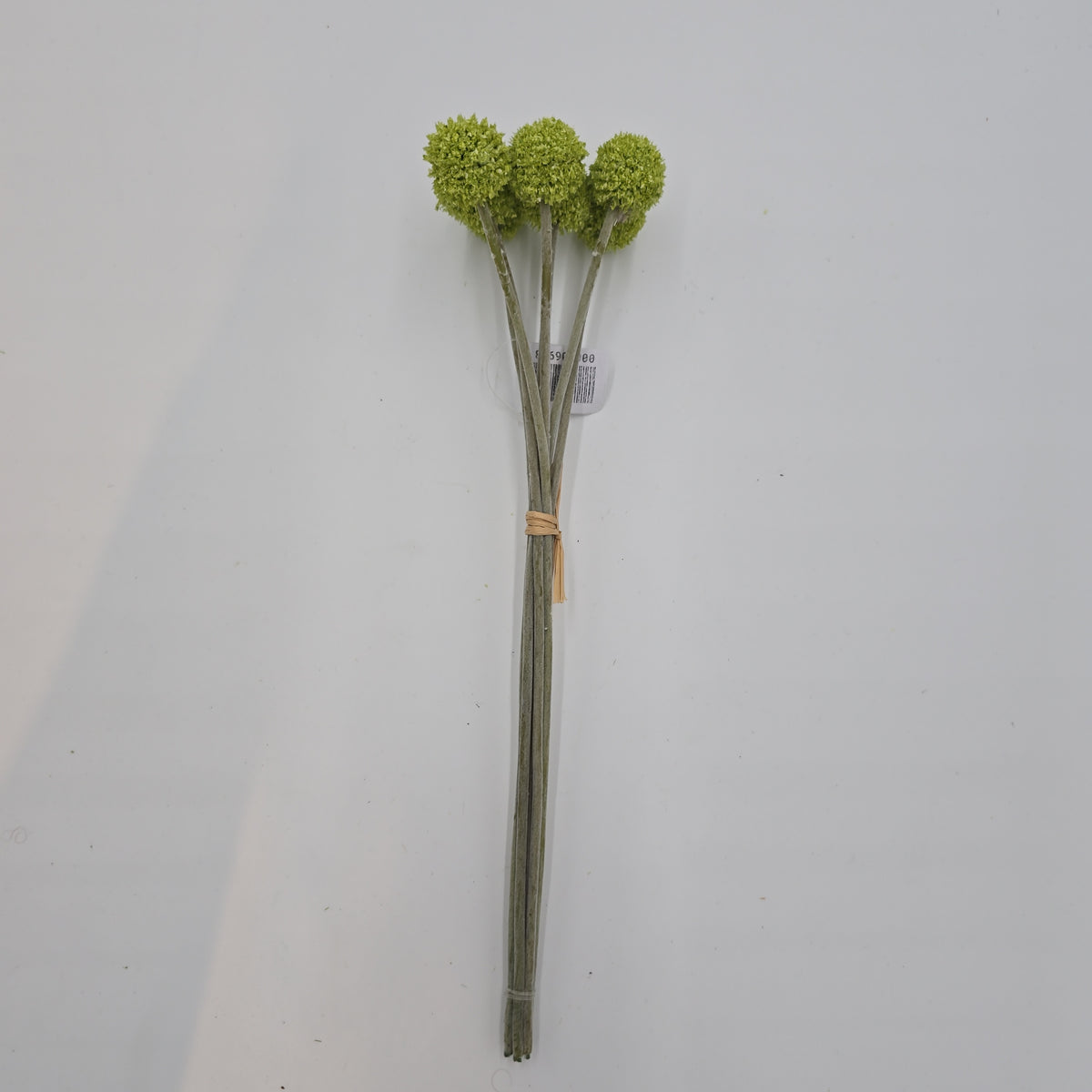 13&quot;BILLY BUTTON--FBL428