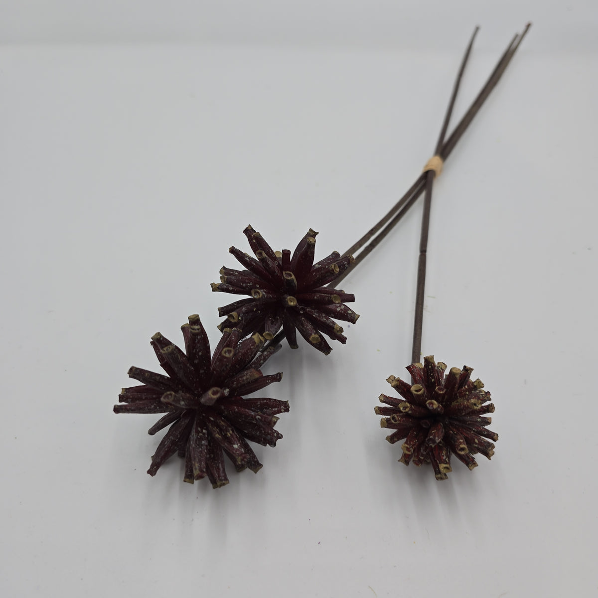 18&quot; Tree Pod Bundle-- #fbp180