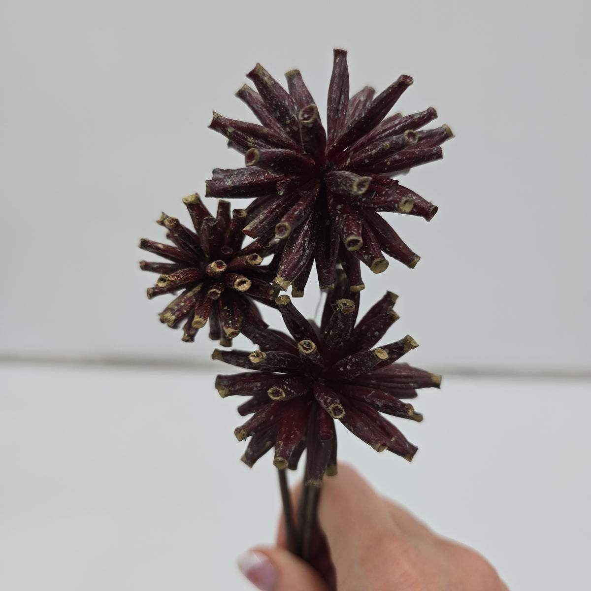 18&quot; Tree Pod Bundle-- #fbp180