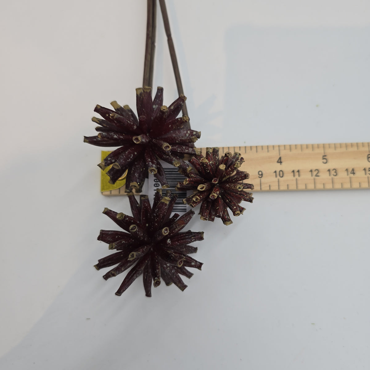 18&quot; Tree Pod Bundle-- #fbp180