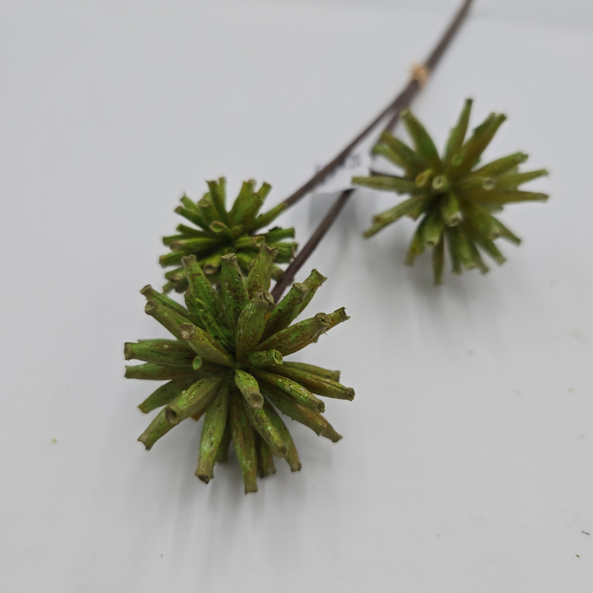 18&quot; Tree Pod Bundle-- #fbp180