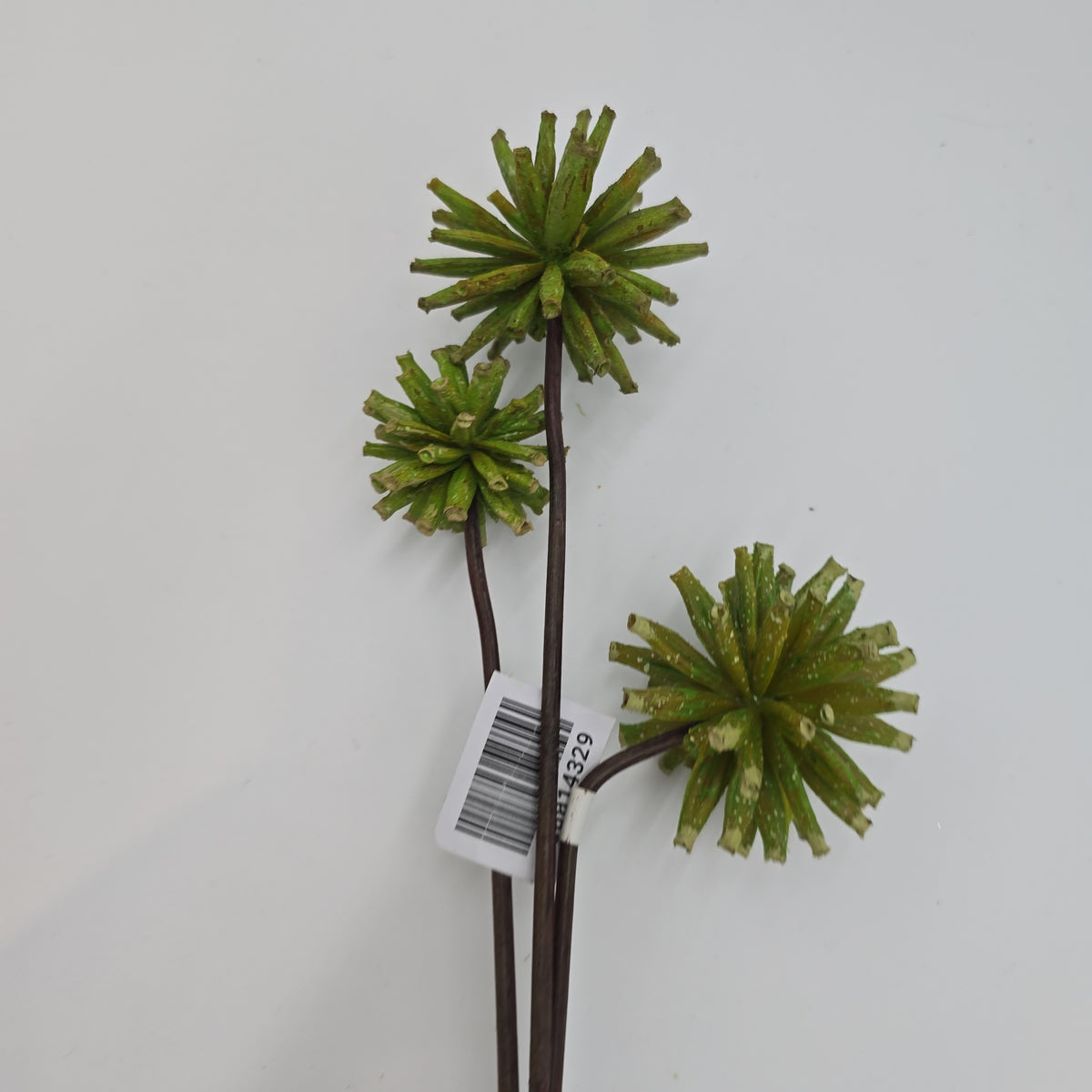 18&quot; Tree Pod Bundle-- #fbp180