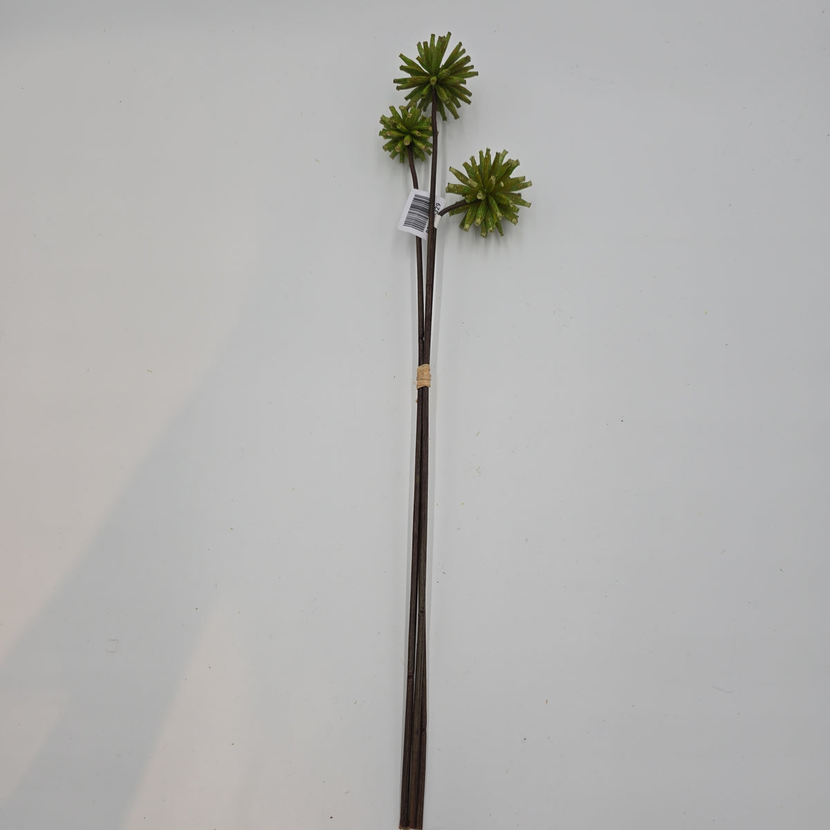 18&quot; Tree Pod Bundle-- #fbp180