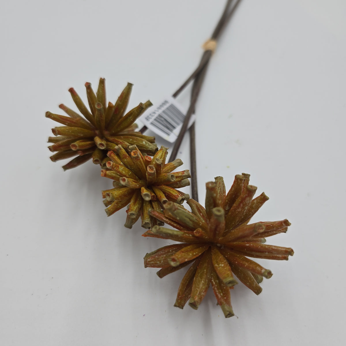 18&quot; Tree Pod Bundle-- #fbp180