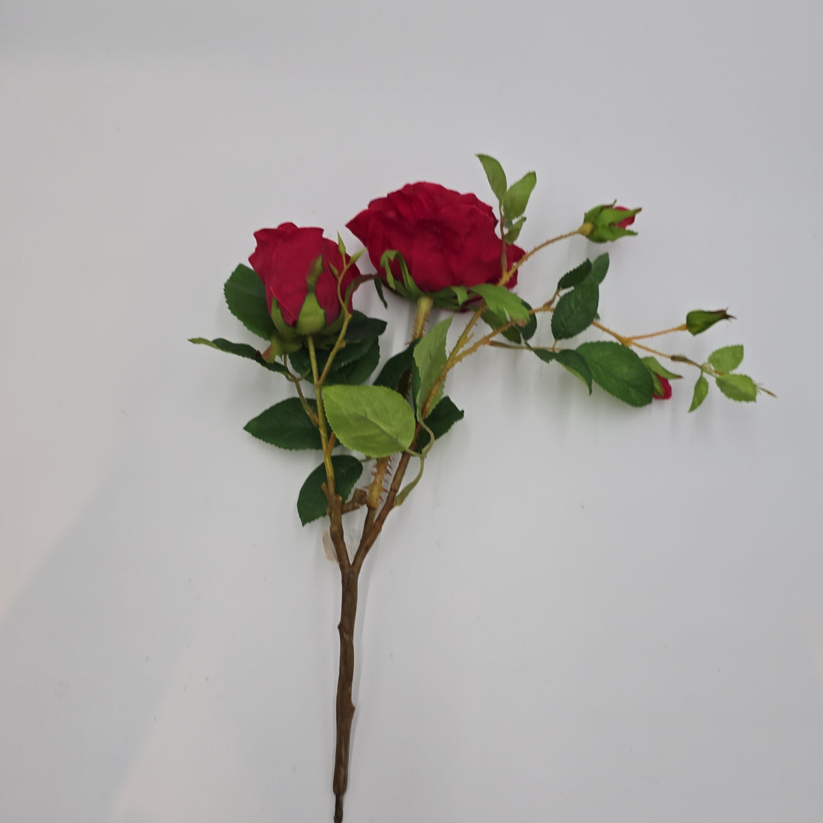 Rose Cluster  Spray--#hsr917