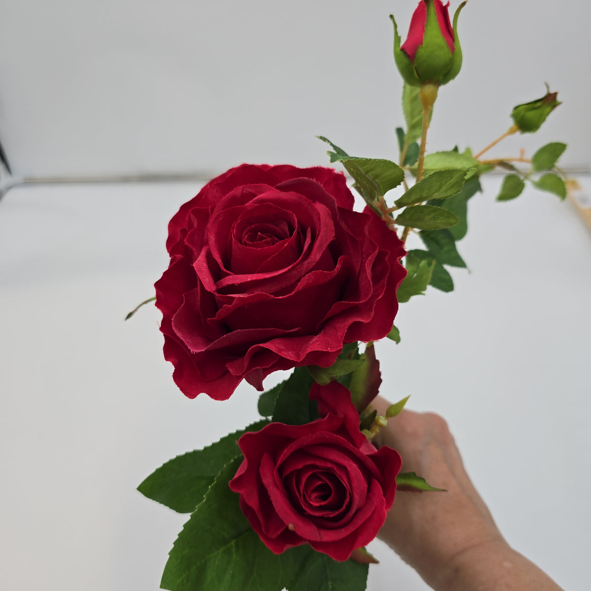 Rose Cluster  Spray--#hsr917