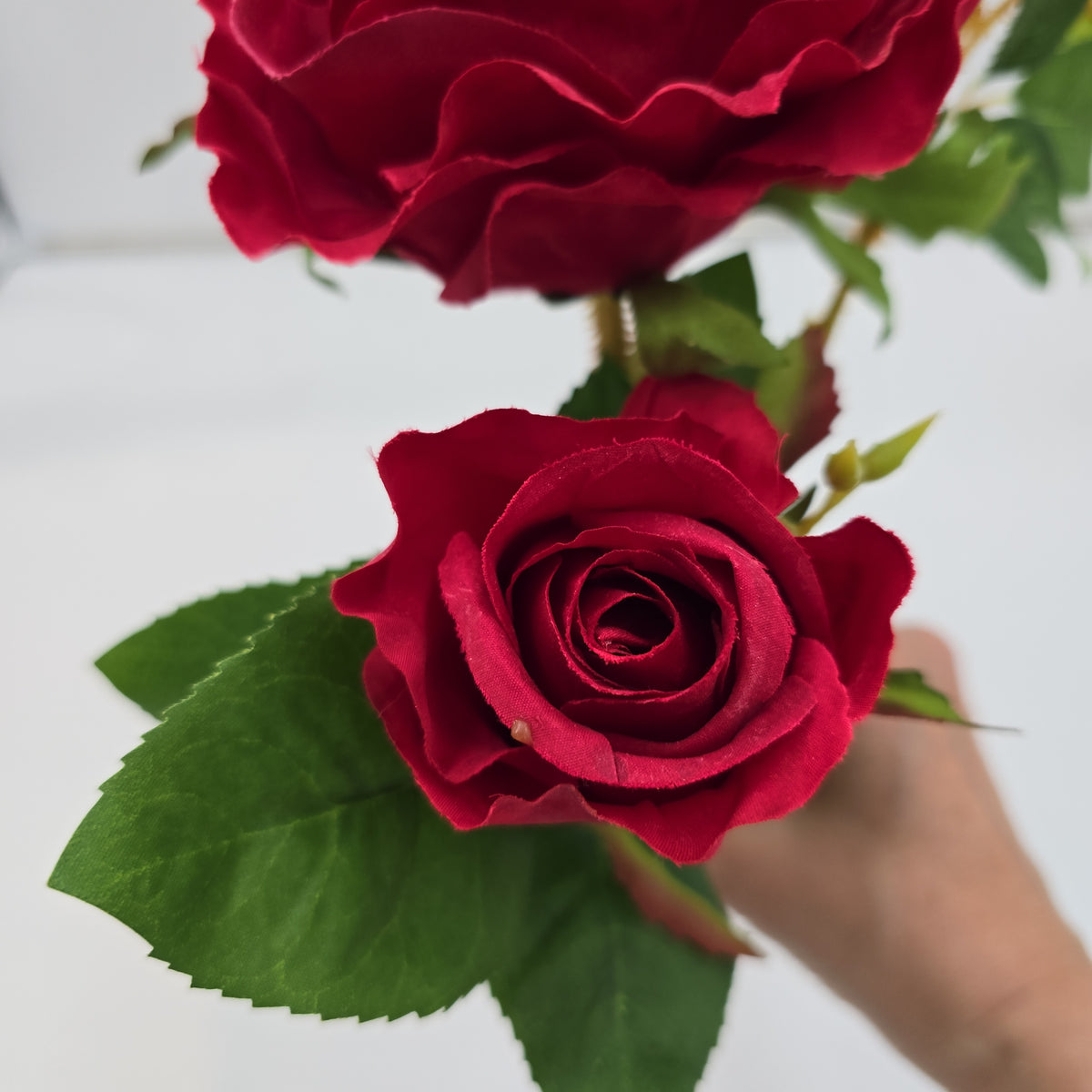 Rose Cluster  Spray--#hsr917