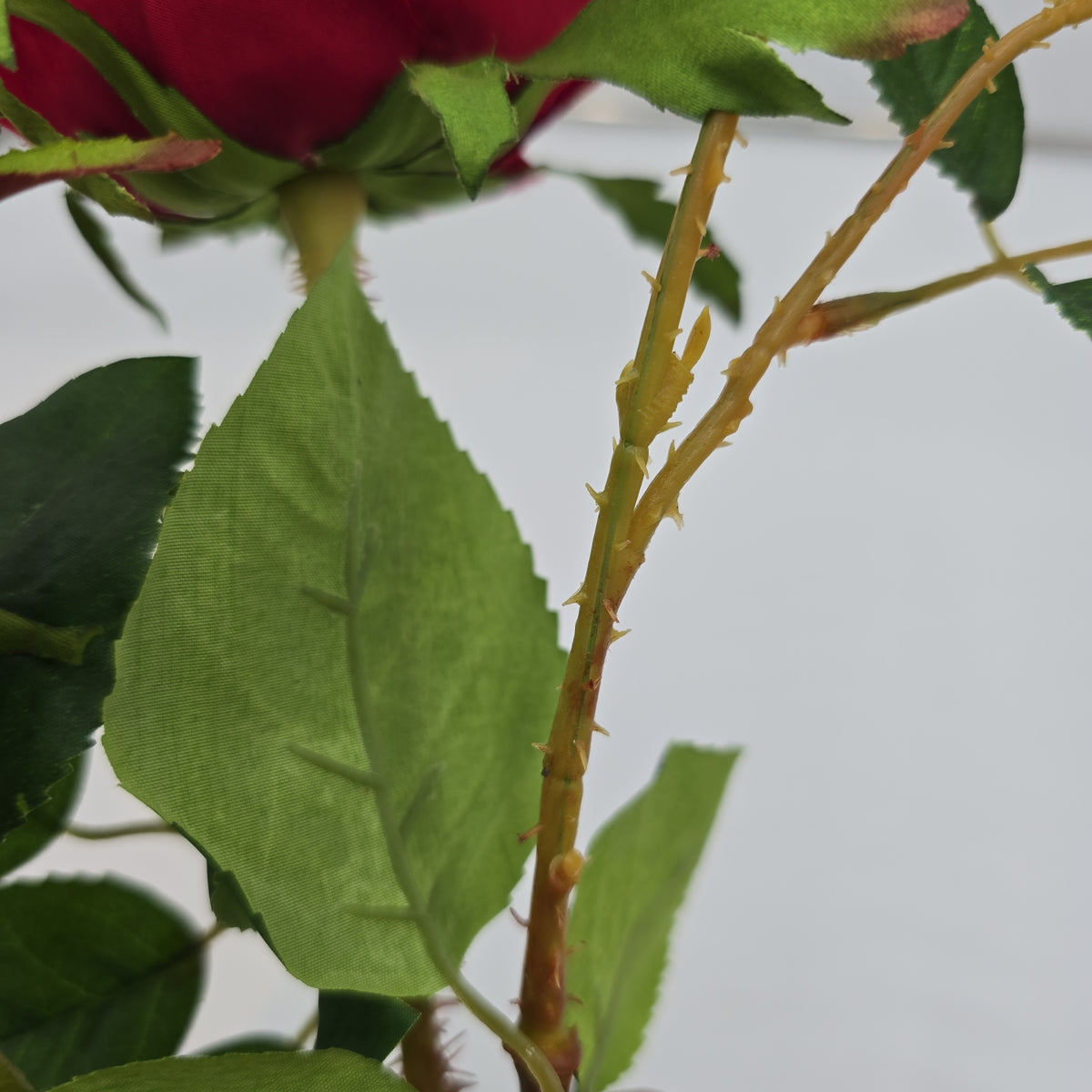 Rose Cluster  Spray--#hsr917