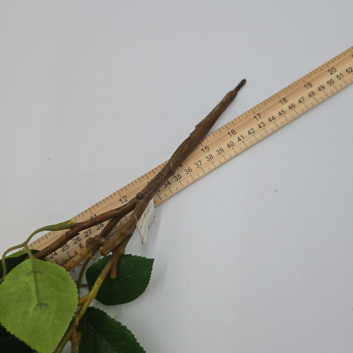 Rose Cluster  Spray--#hsr917