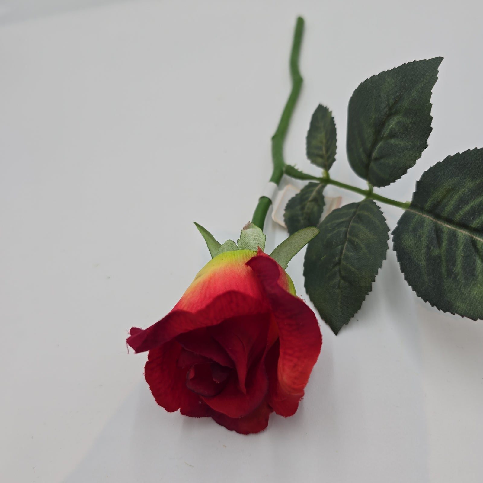 Rose Bud --#fsr011-to/re