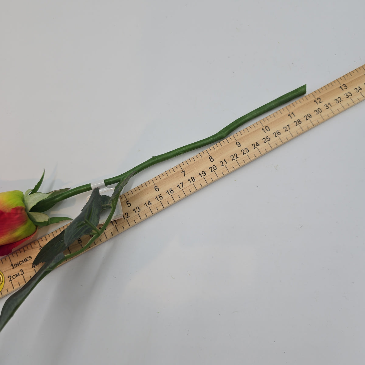 Rose Bud --#fsr011-to/re